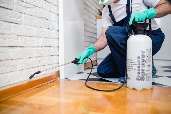 Residential Pest Control Burnaby