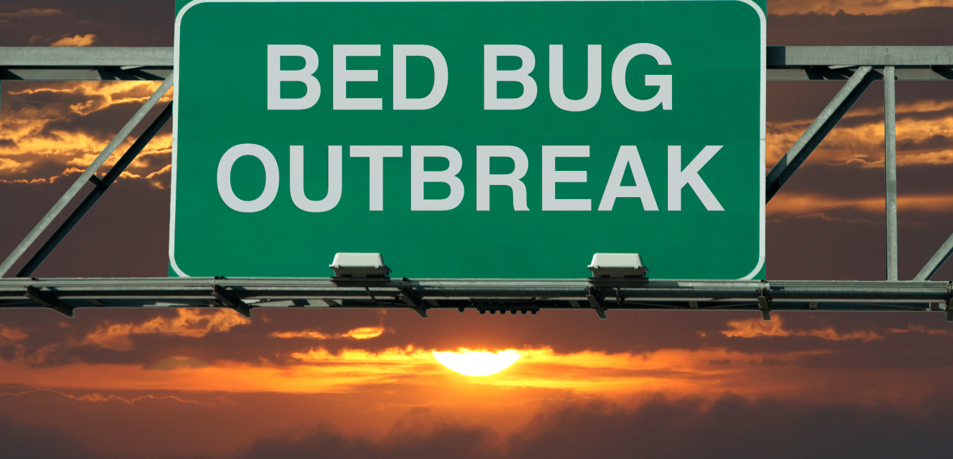 How To Prevent A Bed Bug Outbreak In Your Apartment Building
